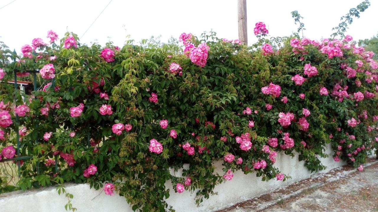 Villa Eleni Holidays Resort With Swimming Pool, סידריון מראה חיצוני תמונה
